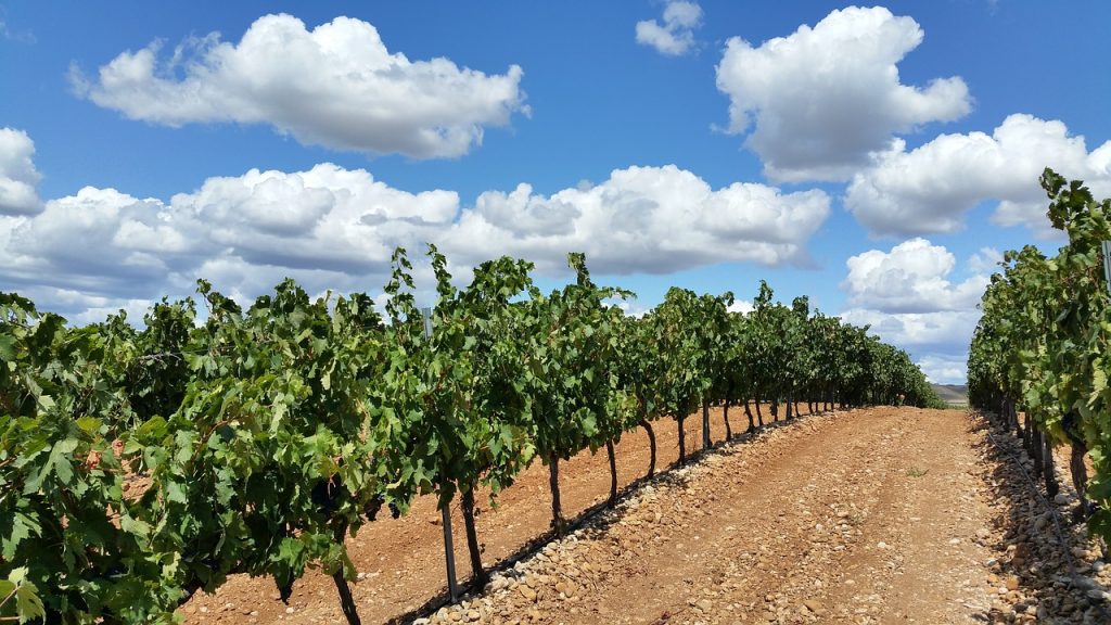 Ferias y Mercados Medievales en La Rioja
