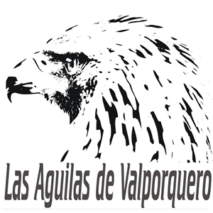 Las águilas de valporquero
